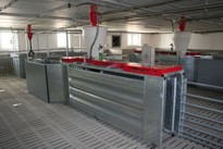 Automatic feeding boxes COMPIDENT