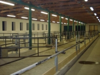 Separating structures for cattle - cows