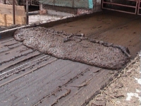 Hydraulic reciprocating conveyors for manure